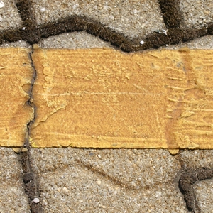 Dedicated Services Dedicated Services